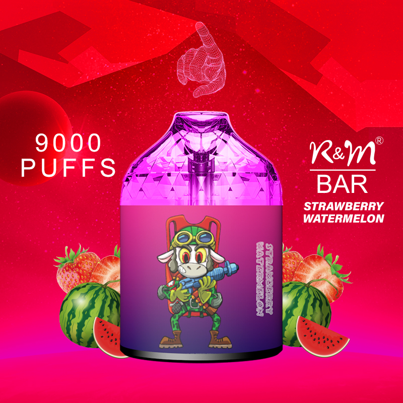 R&M Bar China personnaliser la marque de bobine de maillage la mieux vendue Vape Disposable | Vape vide