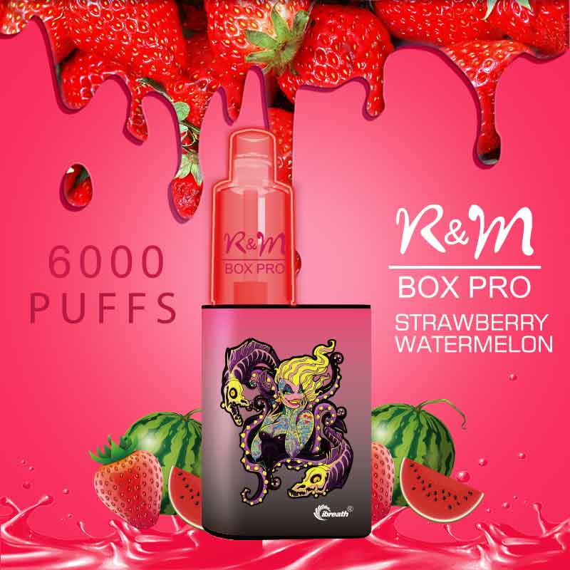R&M Box Pro Allemagne 2% OEM LOGO RECHARGBLE DISPOSable Vape