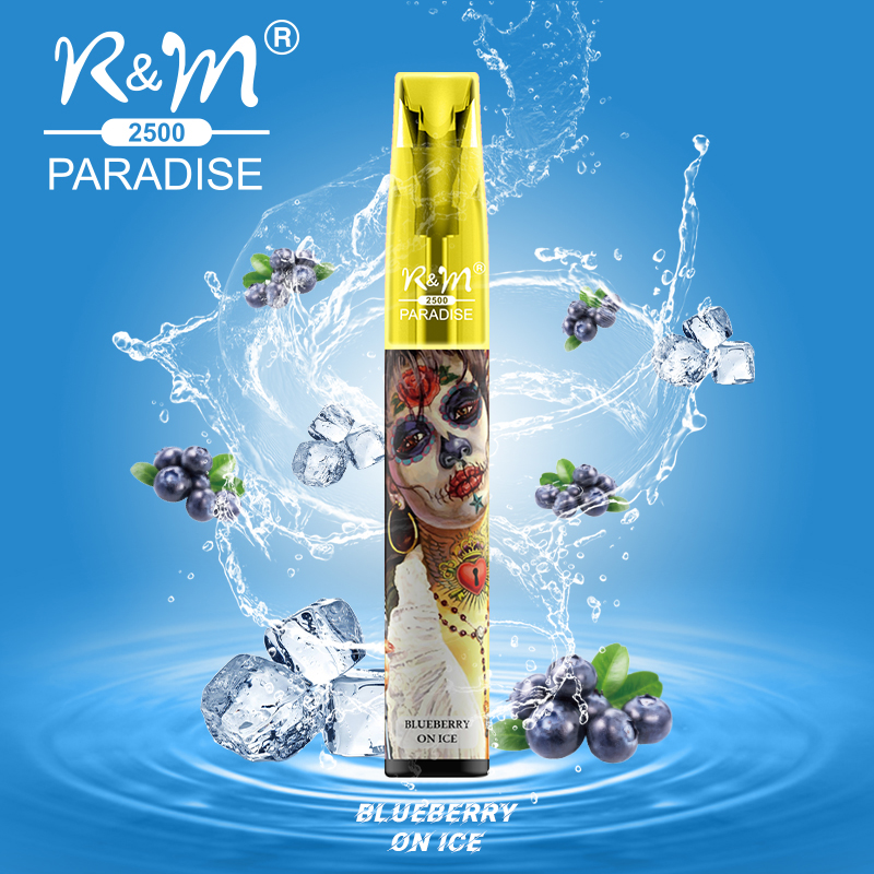 R&M Paradise China 2500 Puffs RVB Light OEM Brand Disposable Vape