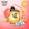 R&M Box 5% Nucotine Derbitable Vape Rechargeable Battery Mesh Bobine 