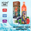 R&M PARADISE Europe Dispositif de vapotage rechargeable 10K Puffs|E-cigarette