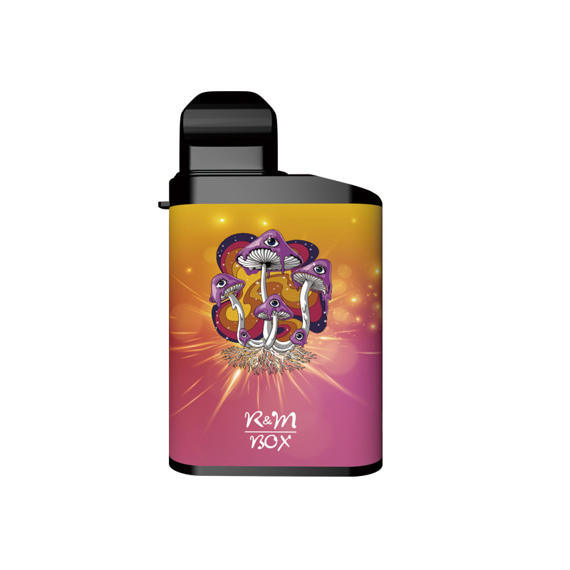 R&M Box Salt Nicotine | Fabricant de vape jetable | Distributeur | grossiste