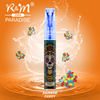 R&M Paradise Mini Australia Original 2500 Puffs Mesh Coil Disposable Vape