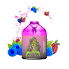 Wholesale USA UK VENTE HOT 5% SALT Nicotine 16 saveurs Mesh Coil 9000puffs Disposable Vape RGB Light Elf Version Box Vape 