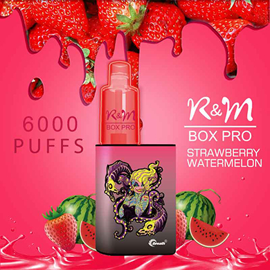 R&M Box Pro Canada Personnalisez la marque jetable vape | En gros stylo vape