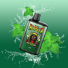 USA Wholesale Factory OEM Custom 5500 Puffs R&M RASTA Mesh Bobe Elf Bar perdu Mary Disposable Vape Type-C Dispositif de vape Puff Puff Puff Puff de vape