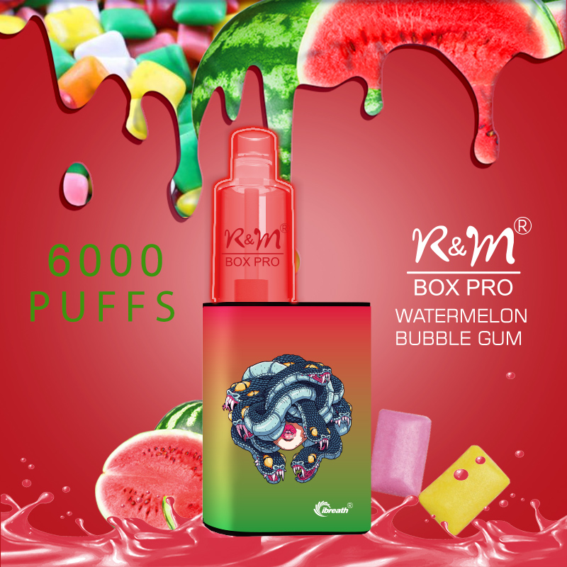 R&M Box Pro China Original RVB Light Disposabe Vape | En gros stylo vape