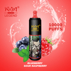 Randm Legend 10000 Puffs Europe Personnalisez la saveur de marque Vape jetable