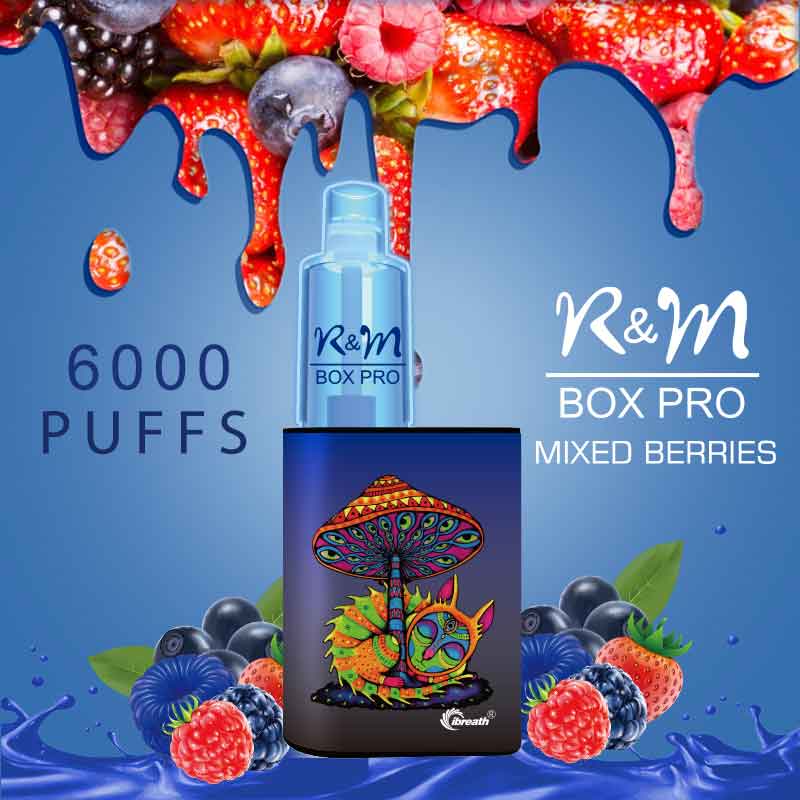 R&M Box Pro 6000 Puffs Flum Float Vape | Baies mixtes 